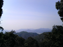774114573_224.jpg