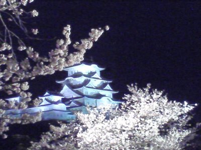 778060024_34.jpg