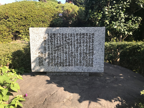 9208941C-357B-4290-A947-56F7252B19C9.jpg