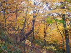 画像 516.jpg