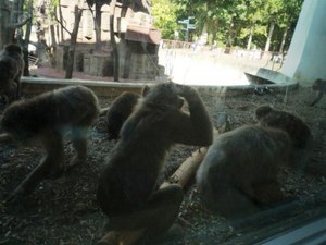 画像2 1178.jpg