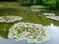 画像2 1345.jpg