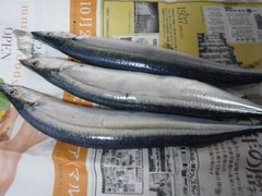 画像2 1522.jpg