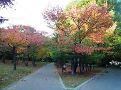 画像2 1563.jpg