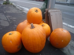 画像2 1743.jpg