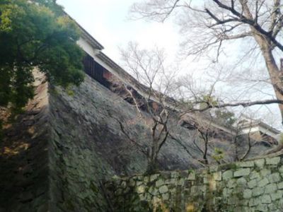 画像2 2247.jpg