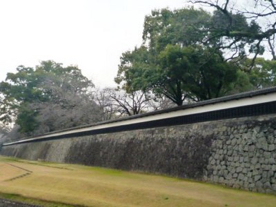 画像2 2248.jpg