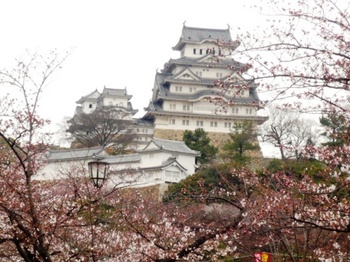 画像2 2491.jpg