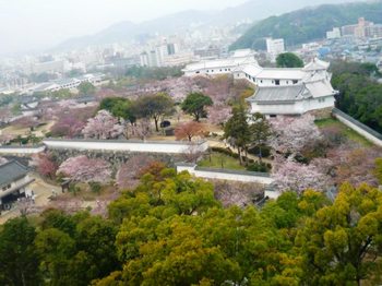 画像2 2562.jpg