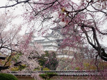 画像2 2572.jpg