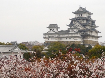 画像2 2574.jpg