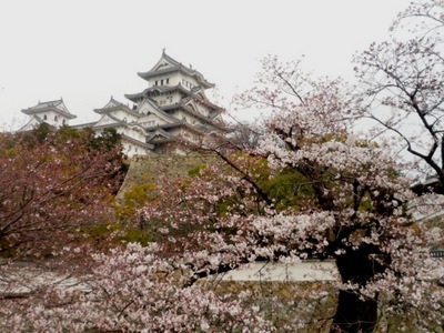 画像2 2587.jpg