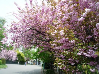 画像2 2764.jpg