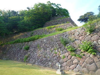 画像2 2796.jpg
