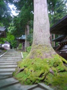 画像2 2823.jpg
