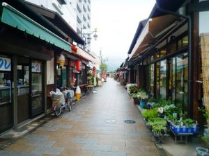 画像2 2852.jpg