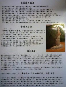 画像2 2945.jpg