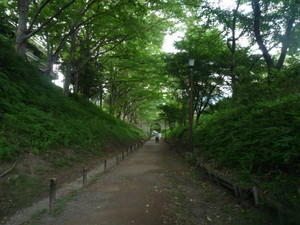 画像2 3006.jpg
