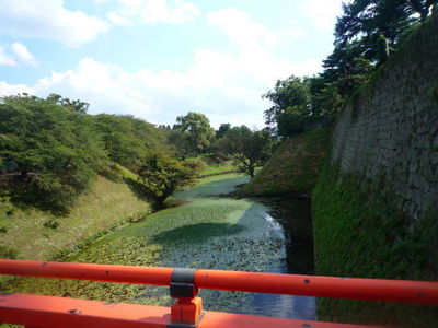 画像2 3089.jpg