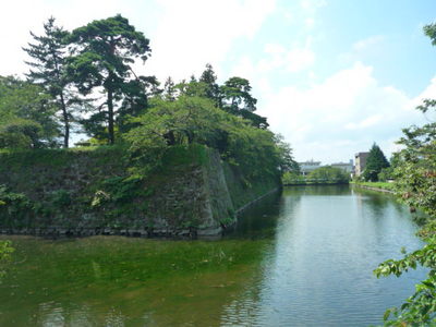 画像2 3133.jpg