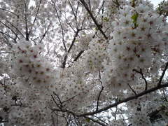 画像2 619.jpg