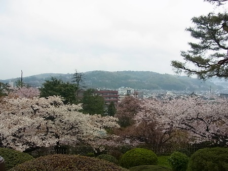 RIMG0117 (450x338).jpg