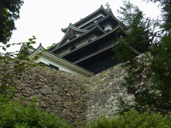 RIMG0948 (550x413).jpg