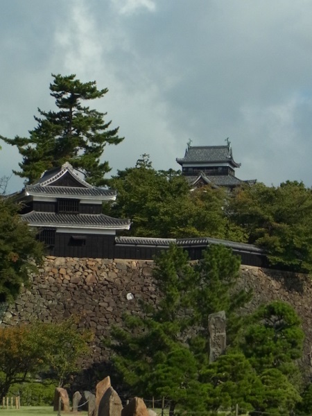 RIMG1014 (450x600).jpg