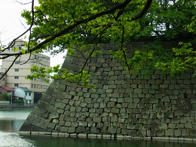RIMG3945 (400x300).jpg