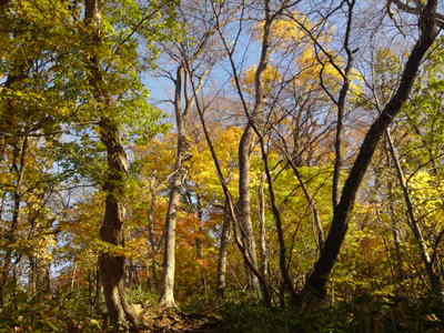 SN3J1003.jpg