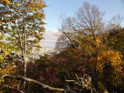 SN3J1011.jpg