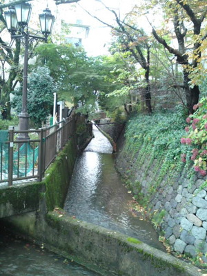 SN3J11340001.jpg