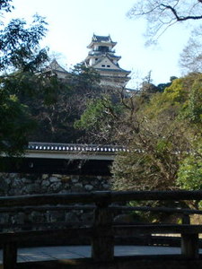SN3J13460002.jpg