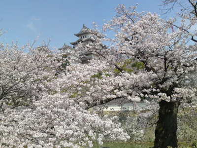 SN3J2387.jpg