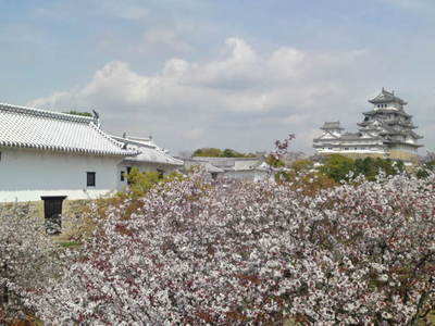 SN3J2399.jpg