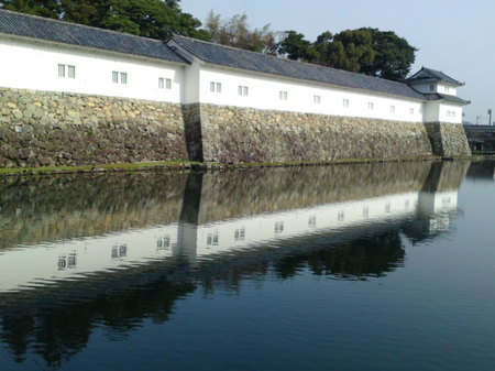 SN3J2477.jpg