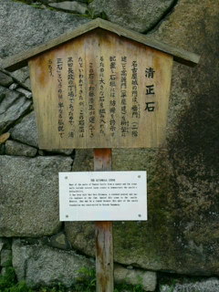 SN3J262000010001.jpg