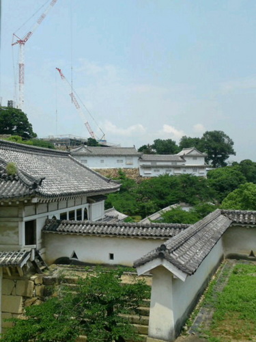 SN3J28720001.jpg