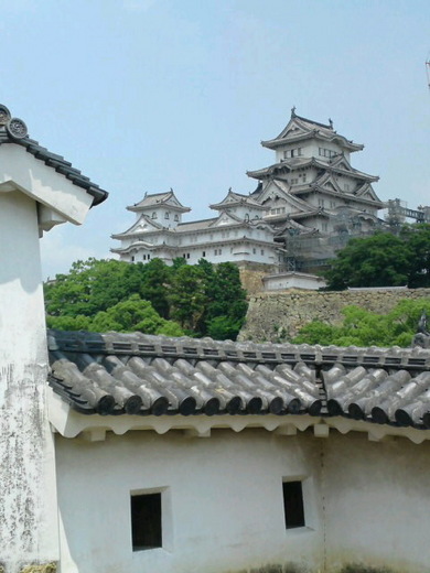 SN3J28820001.jpg