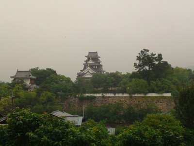 SN3J3147.jpg