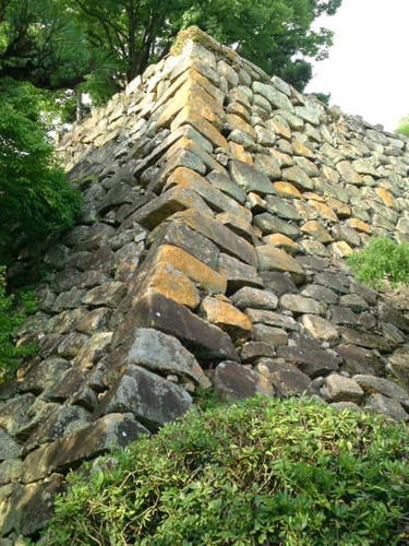 SN3J29290001.jpg