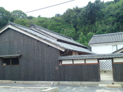 SN3J3009.jpg