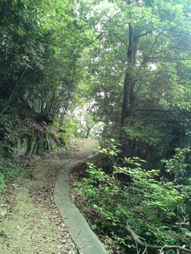 SN3J32000001.jpg