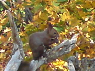 101023_1326~010001.jpg