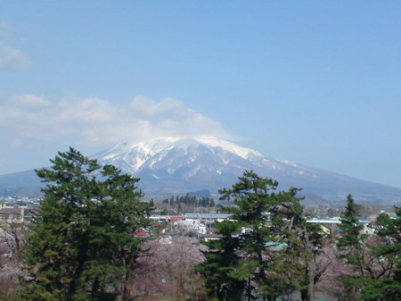 SN3J4104.jpg