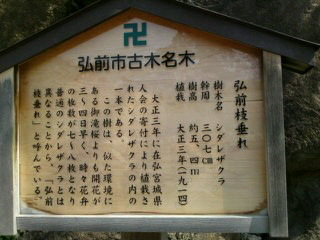 SN3J411200010001.jpg