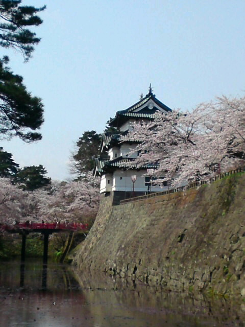 SN3J40780001.jpg