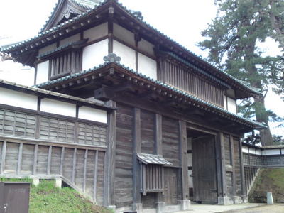 SN3J3950.jpg