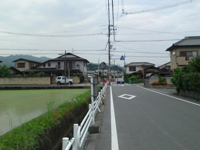 SN3J4404.jpg