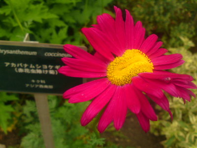 SN3J4461.jpg